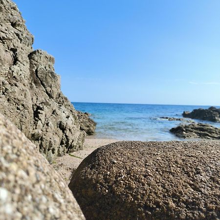 Le 3 Appartement Vue Mer Avec Jardin 100M De La Plage Et De La Thalasso Concarneau Kültér fotó