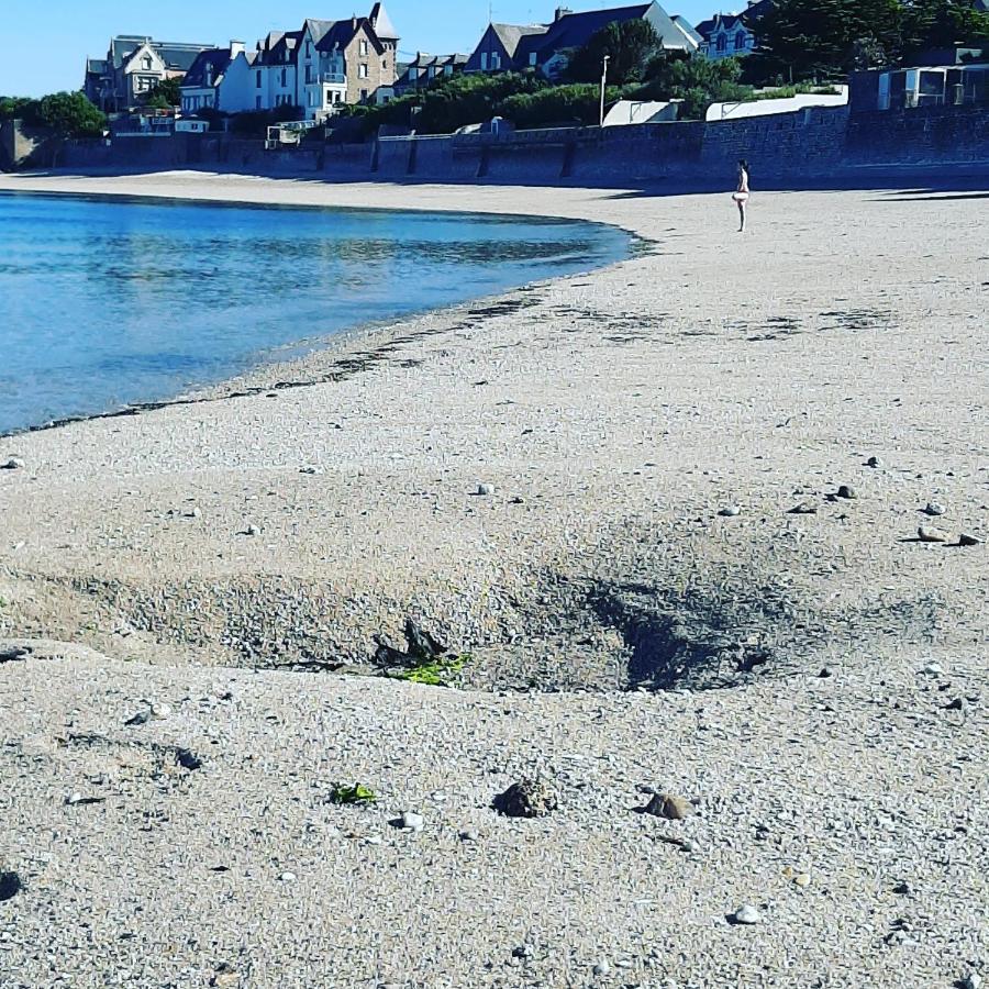 Le 3 Appartement Vue Mer Avec Jardin 100M De La Plage Et De La Thalasso Concarneau Kültér fotó