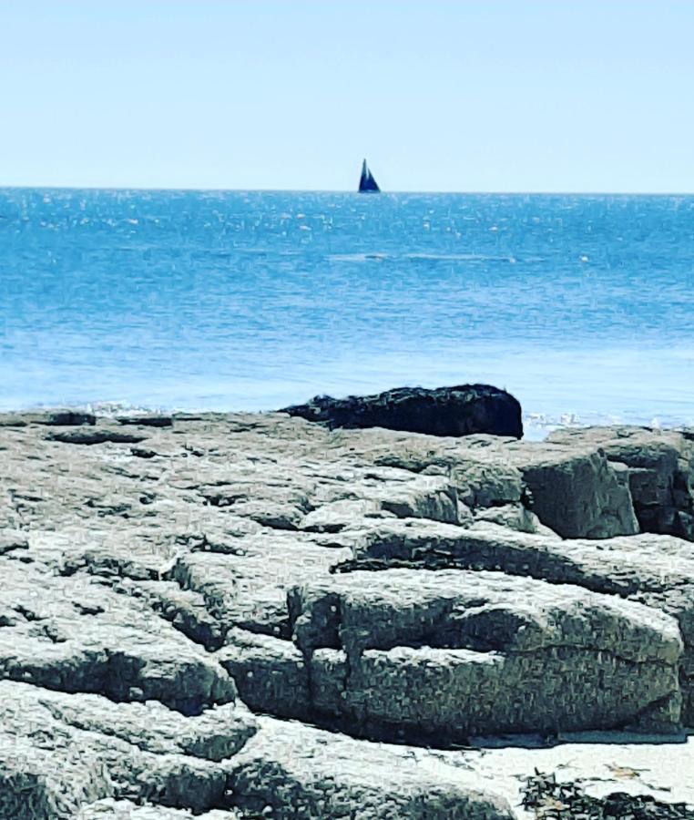Le 3 Appartement Vue Mer Avec Jardin 100M De La Plage Et De La Thalasso Concarneau Kültér fotó