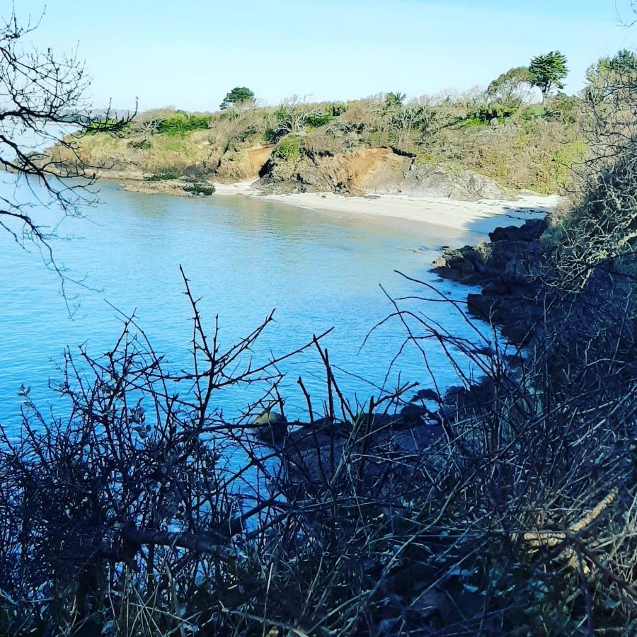 Le 3 Appartement Vue Mer Avec Jardin 100M De La Plage Et De La Thalasso Concarneau Kültér fotó