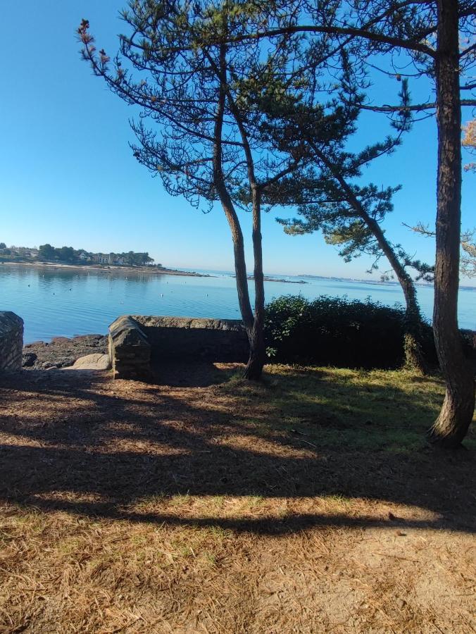 Le 3 Appartement Vue Mer Avec Jardin 100M De La Plage Et De La Thalasso Concarneau Kültér fotó