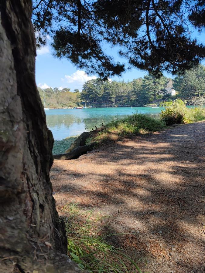 Le 3 Appartement Vue Mer Avec Jardin 100M De La Plage Et De La Thalasso Concarneau Kültér fotó