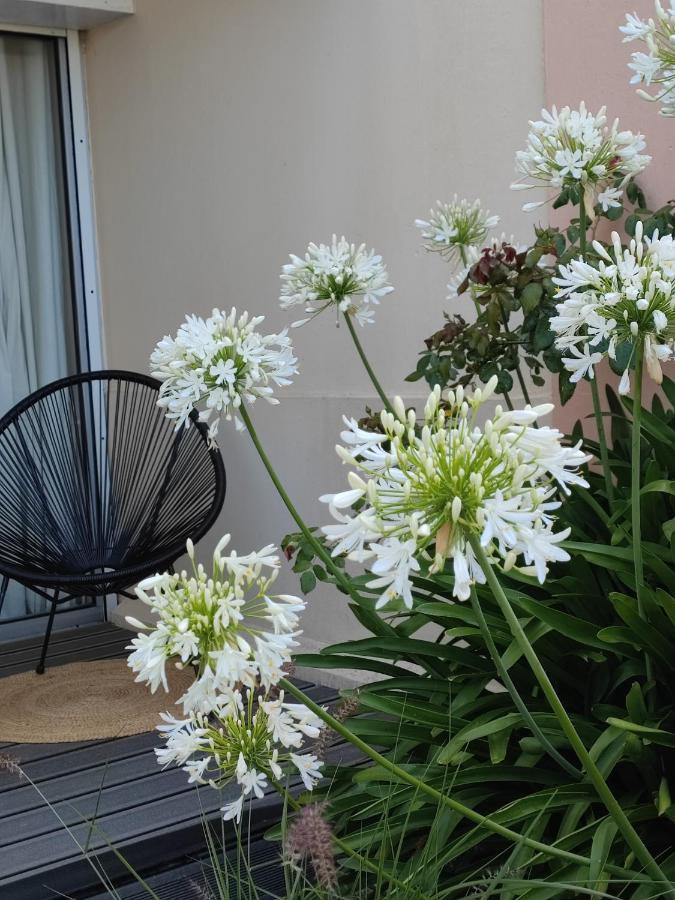 Le 3 Appartement Vue Mer Avec Jardin 100M De La Plage Et De La Thalasso Concarneau Kültér fotó